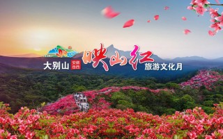 有足球明星来过岳西吗，有足球明星来过岳西吗知乎